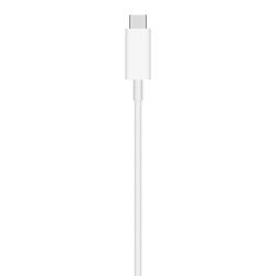 APPLE - MagSafe Charger