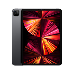 APPLE - iPad Pro 11" Wi-Fi 128GB - Space Grey MHQR3TY/A