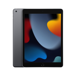 APPLE - iPad 9 Generazione 10.2'' Wi-Fi 3/64GB Space Grey MK2K3TY/A
