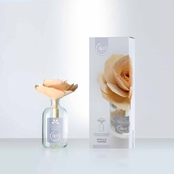 GEA PRO - Diffusore Ambiente 100 ml con fiore in Legno fragranza Nuvola di Cashmere Linea Liko GeaPRO 81048